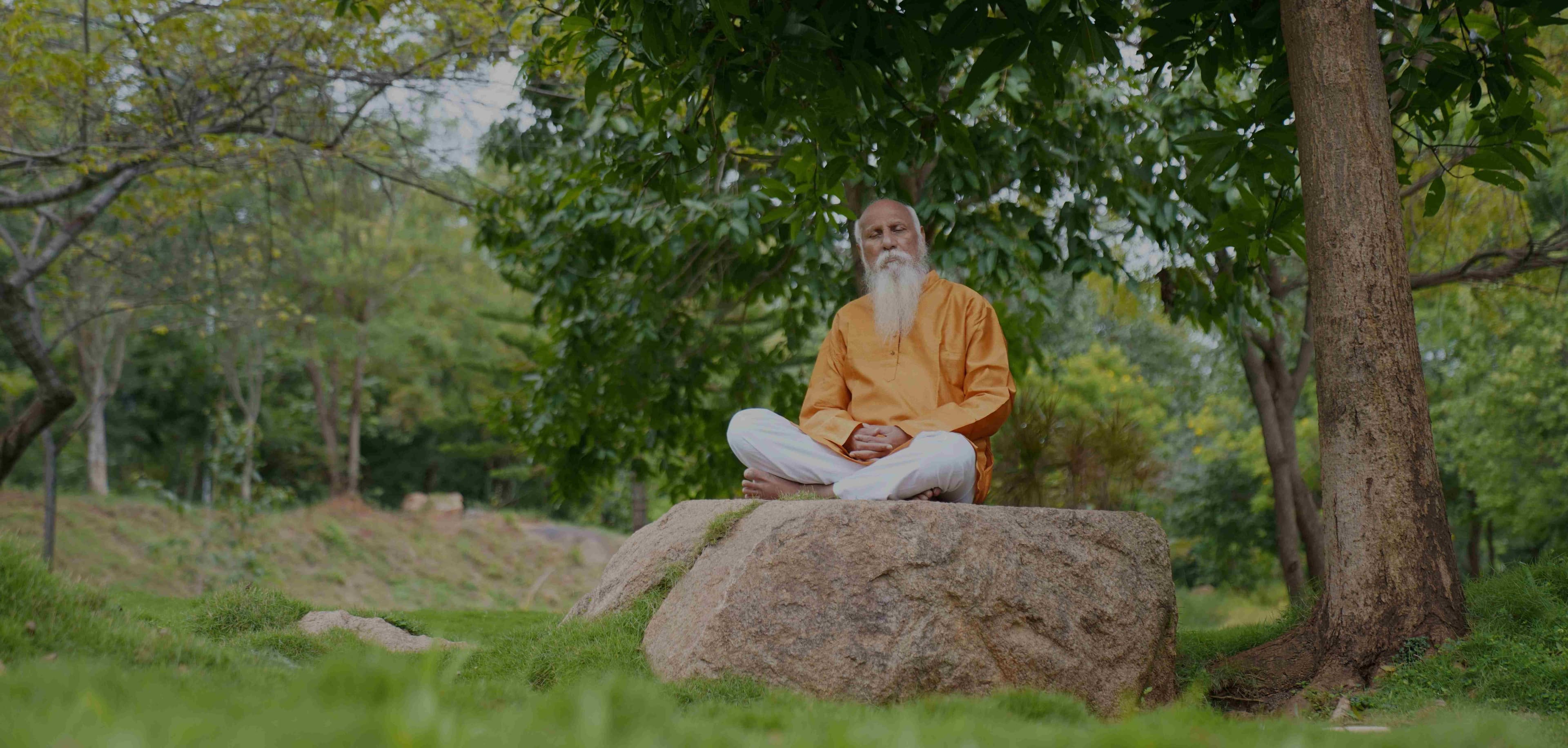 People meditating in a peaceful setting